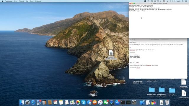 set JAVA_HOME in macOS 10.15 Catalina and Zsh смотреть онлайн