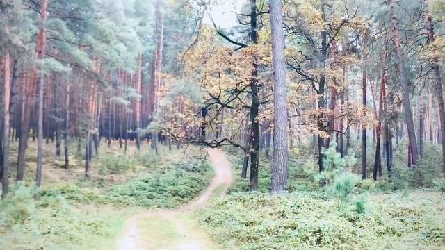 Славута осінь 2021. Барви міста та природи смотреть онлайн