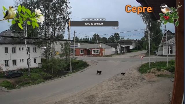 Онлайн камера в п.Демянск , Россия, Новгородская обл смотреть онлайн