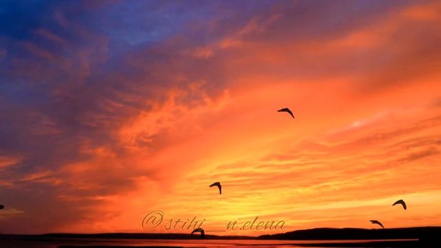 Начало сентября. Стихи о природе. Елена Немоляева. смотреть онлайн