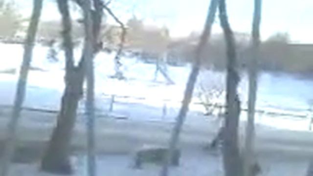 10 февраля 2018 г. смотреть онлайн