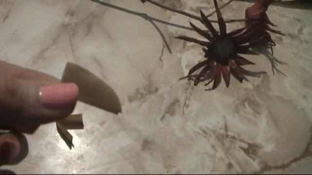 Бавовна. Веточка хлопка смотреть онлайн