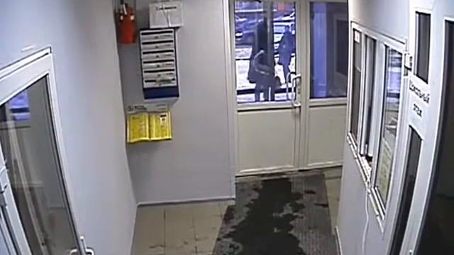 Аналоговая видеокамера 600ТВЛ - Optimus PD-636s смотреть онлайн