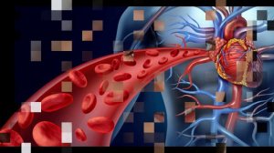 ВИТАМИН Е. ПОЛЬЗА и Источники Его получения.