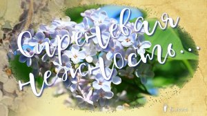 Сиреневая нежность  *