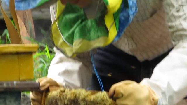 Качаем мед на пасеке смотреть онлайн