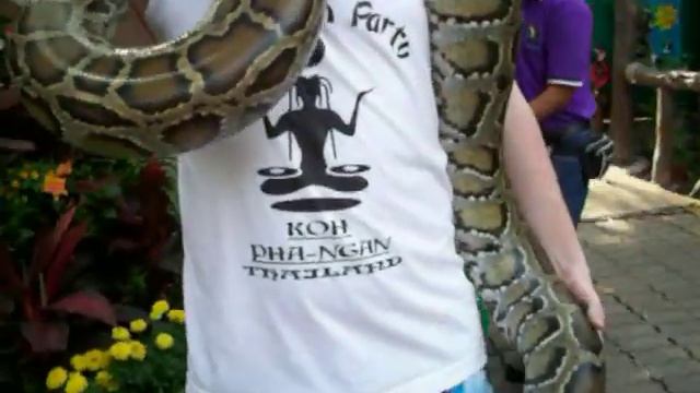 Bangkok Zoo Jason Barker aka steve irwin with 7ft python 21/2/2009 смотреть онлайн