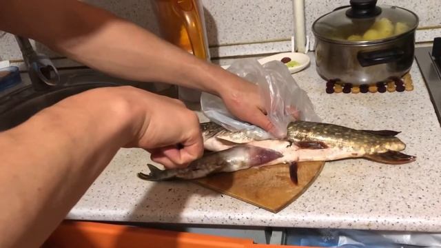 Щука мутант! Щука-каннибал! Жесть поймал щуку без хвоста, а в ней почти такая же щука!