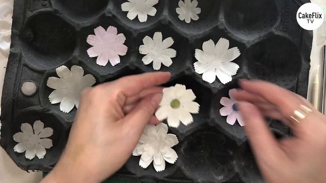 S1:E3 - Floral Delights with a little airbrushing | Cassie Brown смотреть онлайн