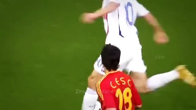 Zidane 2006 World Cup