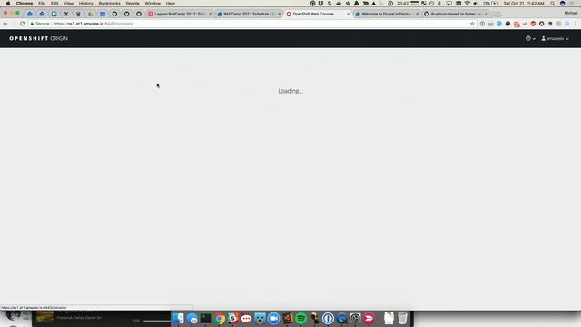 Lagoon: OpenSource Docker Build & Deployment System with Full Drupal Support смотреть онлайн