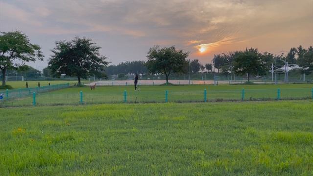 DIARIES | домашняя йога, такояки, прекрасные закаты смотреть онлайн