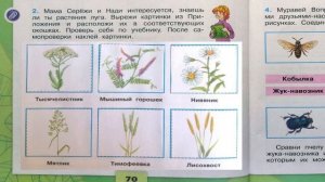 Окружающий мир. Рабочая тетрадь 4 класс 1 часть. ГДЗ стр. 70 №2