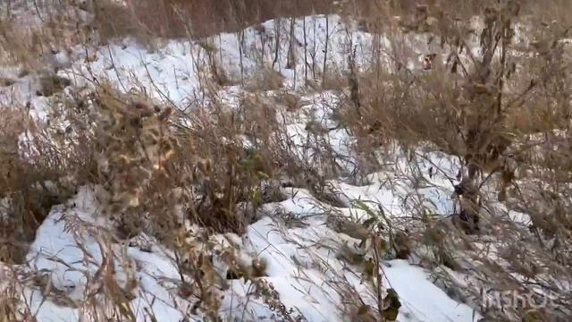 Нашли заброшенное место на площадке смотреть онлайн