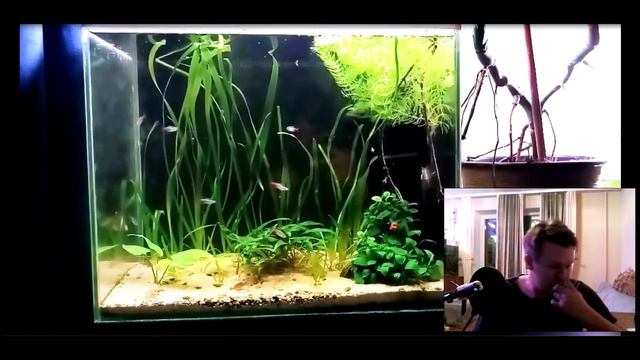 Интерактивный аквариумный туризм Сезон 4 Выпуск 4 - Молодо - Зелено смотреть онлайн