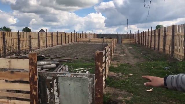 Сегодня ровно год как мы переехали в деревню. Купили дом. Что изменилось за год жизни в деревне. смотреть онлайн