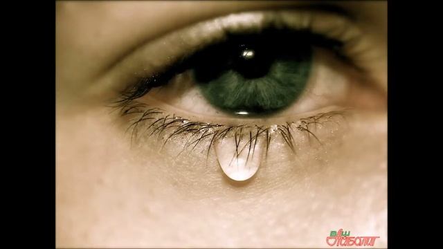 Почему от резки лука выделяются слезы смотреть онлайн