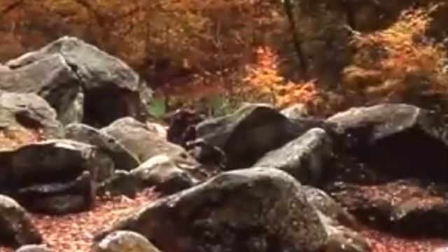 Галина Молодых "Ты да я да мы с тобой последний куплет" смотреть онлайн