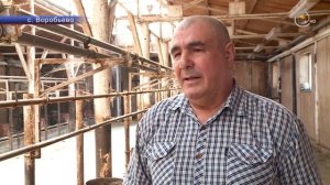 Бердюжские ЛПХ поддерживают преемственность поколений
