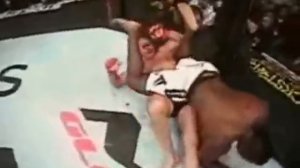 Фёдор Емельяненко (Россия) - Бретт Роджерс (США)