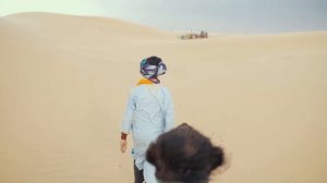 Верблюды. Караваны пустыни!