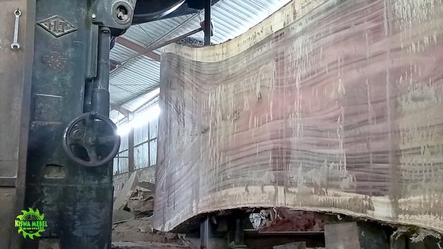 Sadis !! Kebiadaban koruptor jual kayu trembesi keramat serat hitam senilai milyaran disawmill смотреть онлайн