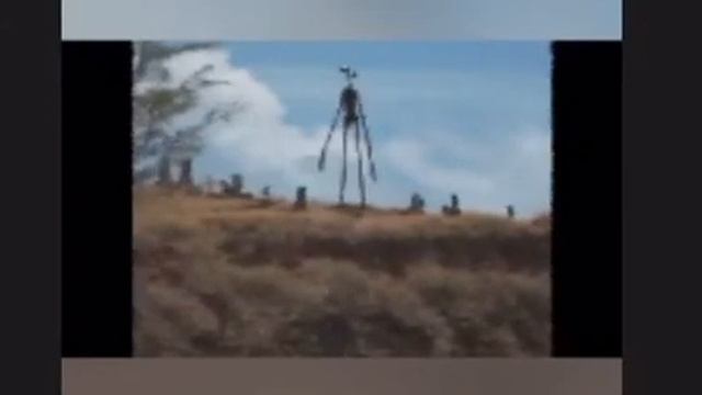 Какие звуки издаёт сиреноголовый смотреть онлайн