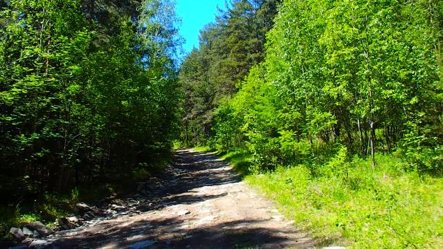 Южный Урал ! Дорога на Марюткин камень ! Хребет Гребни ! Едим в горы ! смотреть онлайн
