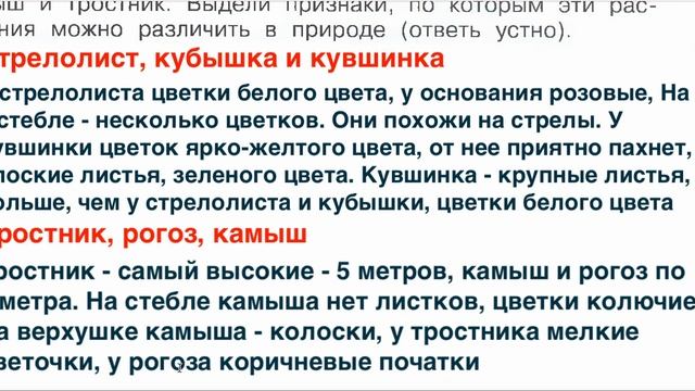 Страница 75 Рабочая тетрадь по окружающему миру за 4 класс 1 часть Плешаков Школа России смотреть онлайн