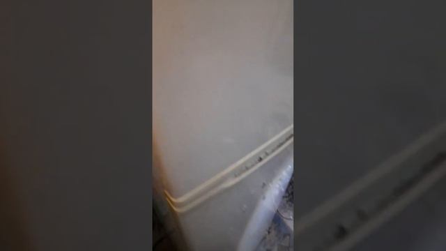 😁Имеет право на вторую жизнь смотреть онлайн