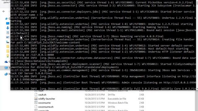 WildFly 9.0.2 Installation in Windows 10 with Zulu OpenJDK 7 (Java 7) смотреть онлайн