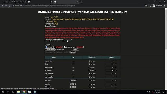 Hex Bot V1.2 (WP RCE Auto Upload Shell - Finder Shell - Finder Mailer) Get 100+ shell a day смотреть онлайн