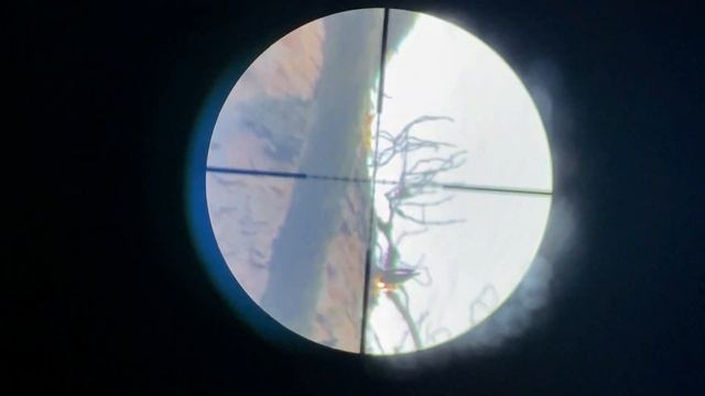 Ходовая охота на Ворон Crow Hunting 2022. Кроухантинг. 177 Calibr Охота на ворон с пневматикой смотреть онлайн