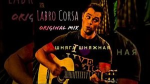 Песня ШНЯГА ШНЯЖНАЯ#кузя