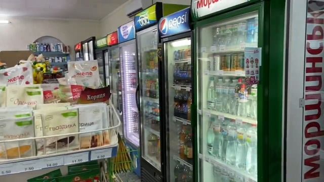 Геническ. Ужик возле моря. Городской пляж. смотреть онлайн