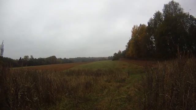 Поле. Пашня. Вороны. Небо. Лес. смотреть онлайн