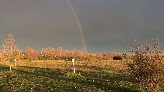 Sony DSC-HX100V Rainbow смотреть онлайн