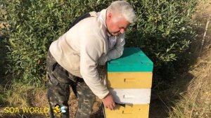 Работа с 8 рамочным ульем