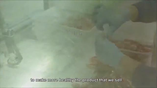 Рыбное хозяйство | переработка рыбы и морепродуктов | Италия | смотреть онлайн