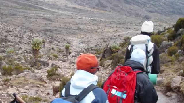 kilimanjaro смотреть онлайн