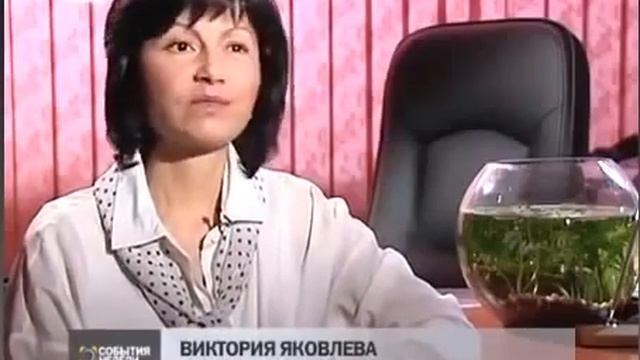 Какой стиральный порошок лучше смотреть онлайн