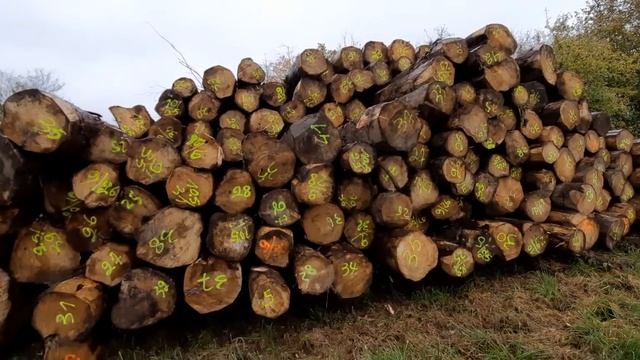 Европа готовится к зиме смотреть онлайн