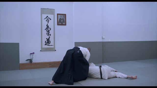 Shomen Uchi Shiho Nage смотреть онлайн
