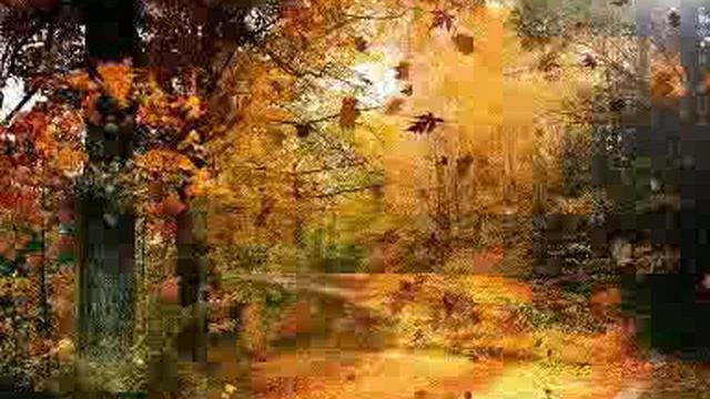 Не грусти. стихи Игорь Волгин и Эдуард Данилов смотреть онлайн