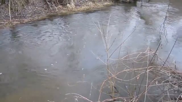 Звуки природы для дневного сна смотреть онлайн