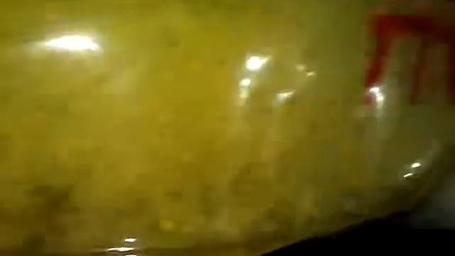 Weevils in a Sealed Bag смотреть онлайн