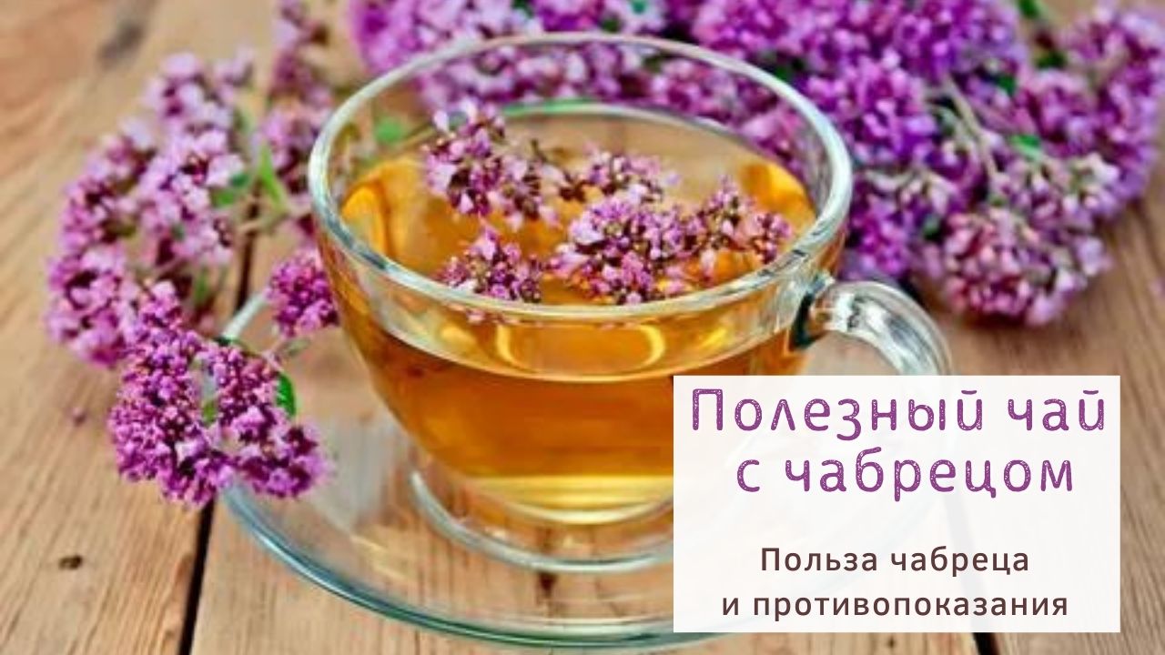 Чай с чабрецом .Рецепт чая с чабрецом. Полезные свойства.