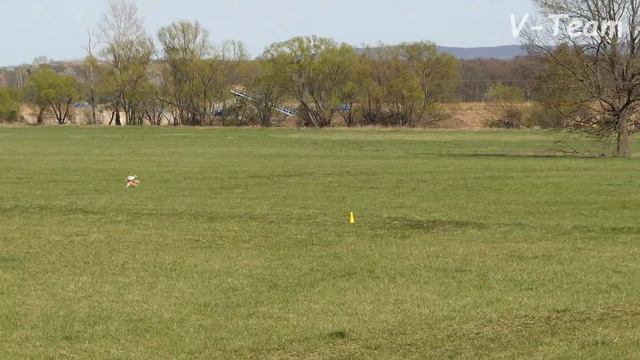 Aimee Princess Marsh-Mallow life (R) - Laving Briz Florence (W). SLOVAK COURSING CHAMP 2018. смотреть онлайн