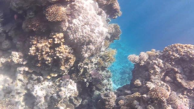 THE BEST HEALING MUSIC FOR RELAXATION, SLEEP, MEDITATION. ЛУЧШАЯ ИСЦЕЛЯЮЩАЯ МУЗЫКА ДЛЯ РЕЛАКСА. смотреть онлайн