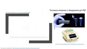 Полимеразная цепная реакция (ПЦР) | Методы в биологии | НМИЦ им. В. А. Алмазова
